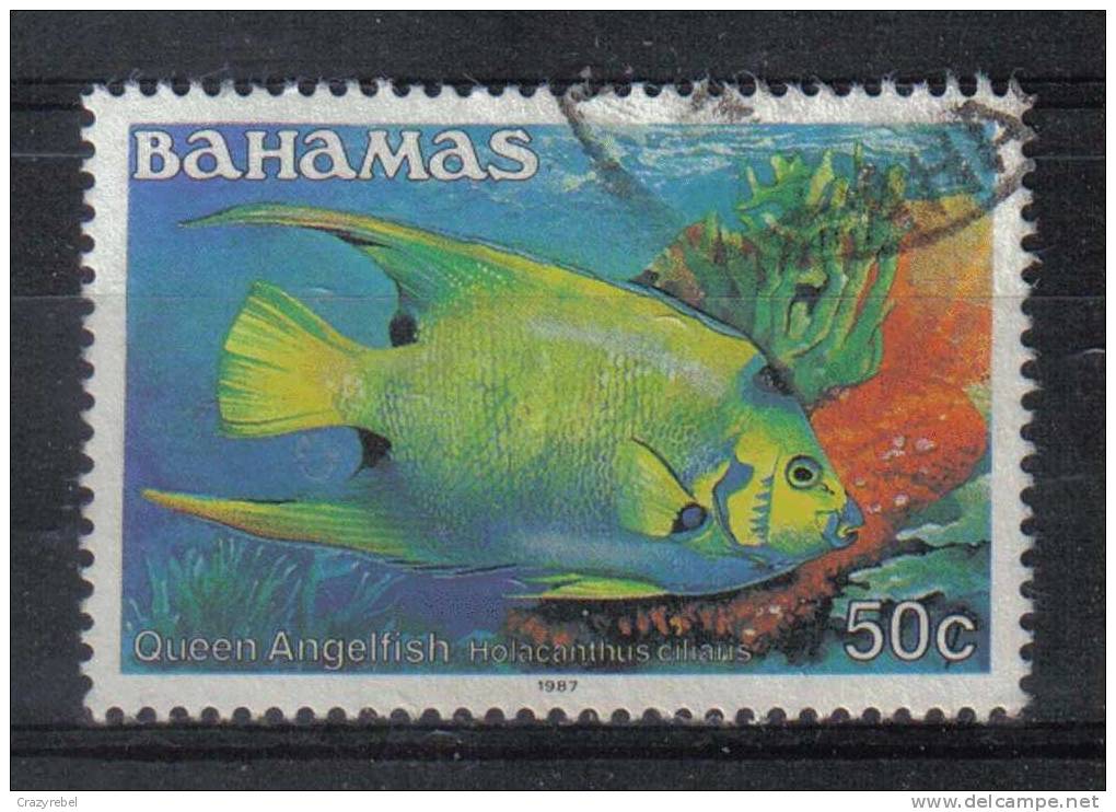 BAHAMAS 1986 SG767a USED 50ct  FISH STAMP (39A) - Bahamas (1973-...)