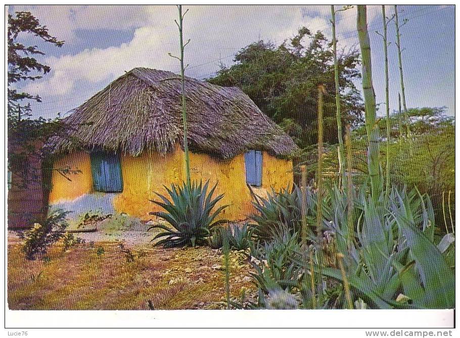 A Typical Native Country ( CUNUCU ) House On The Island Of  BONAIRE  - - Bonaire