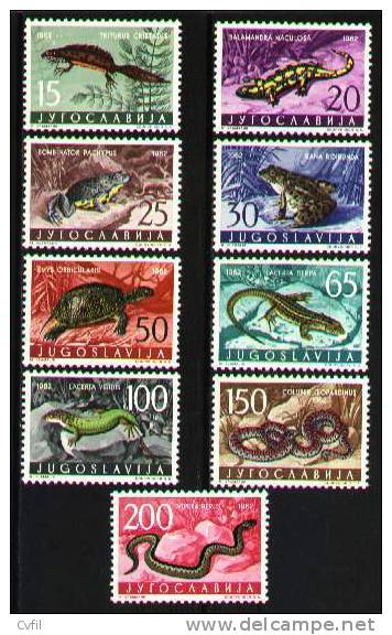 YUGOSLAVIA  1962 - FAUNA: REPTILES (9) - Grenouilles