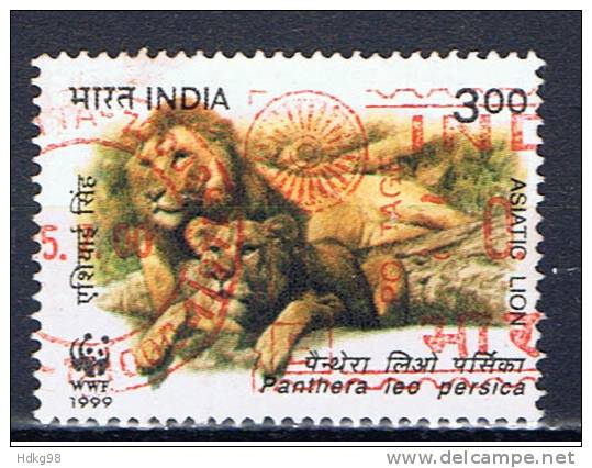 IND+ Indien 1999 Mi 1706 Indischer Löwe - Used Stamps