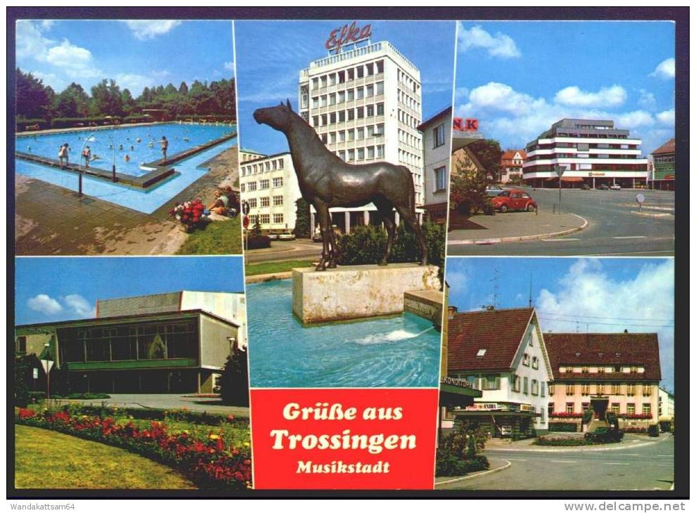 AK Grüße Aus Trossingen Musikstadt Mehrbild 5 Bilder Freibad Efka Hochhaus Pferd Statue VW-Käfer - Trossingen