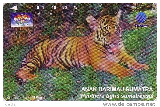Télécarte INDONESIE Tamura - ANIMAL Félin - TIGRE De Sumatra - TIGER INDONESIA  Feline Phonecard - 104 - Indonesië
