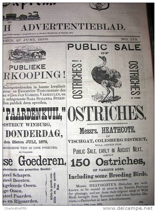 BOER WAR NEWSPAPERS 1875-1880 !! *THE EXPRESS AND ORANGE FREE STATE ADVERTISER * ! DUTCH & ENGLISH ! BRITISH EMPIRE