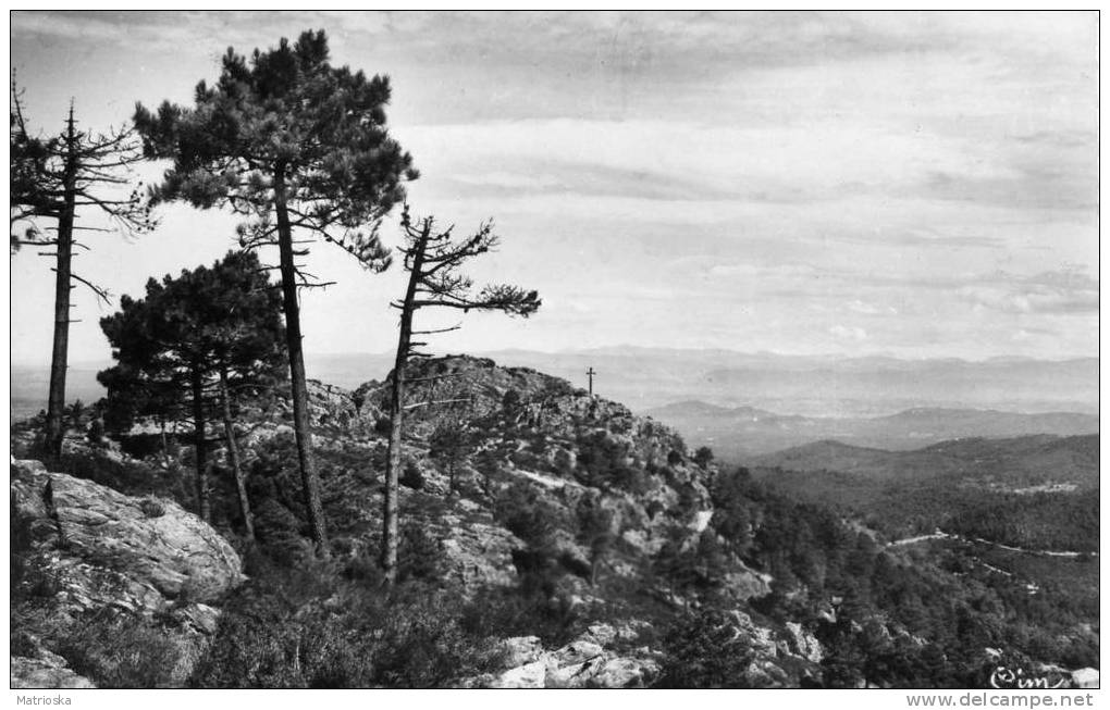 LA GARDE-FREINET   -  Perspective Sur La Chaine Des Alpes Vue De La Croix   -    VG 1962   -  (223) - La Garde Freinet