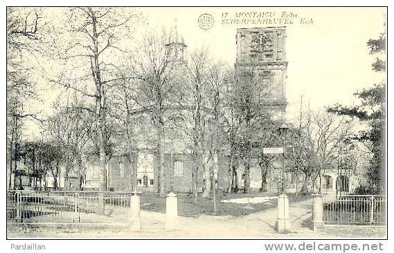 85.  MONTAIGU. L'EGLISE.  BEAU PLAN - Montaigu