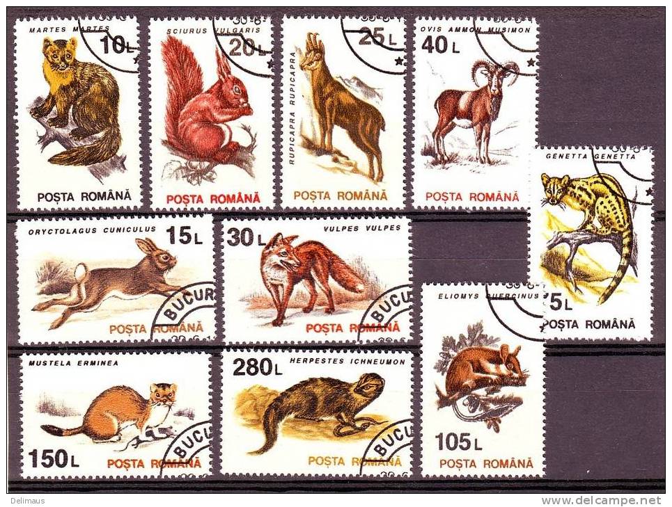 Rumänien Romania Michel 4901-10 Tiere Marder Kaninchen Gemse Fuchs Mufflon Katze Hermelin - Used Stamps