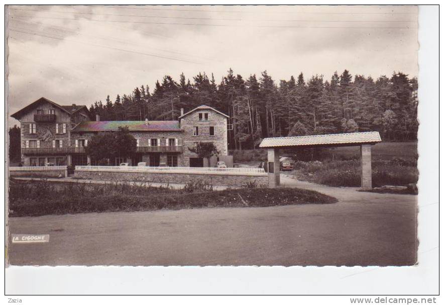 63.136/ ST SAUVEUR LA SAGNE - L'Hôtel Des Sapins "Logis De France" (cpsm) - Chateldon