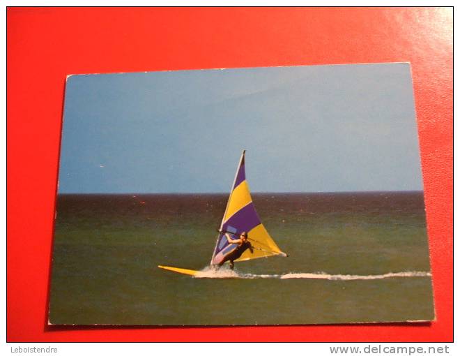 CPM-THEME SPORT- LA PLANCHE A VOILE-SPORT D'AUJOURD'HUI... - Vela