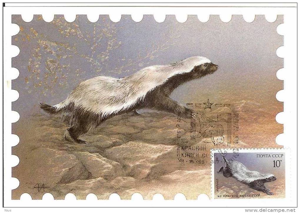 Russia USSR 1987 Fauna Maximum Card Rodents - Maximumkaarten