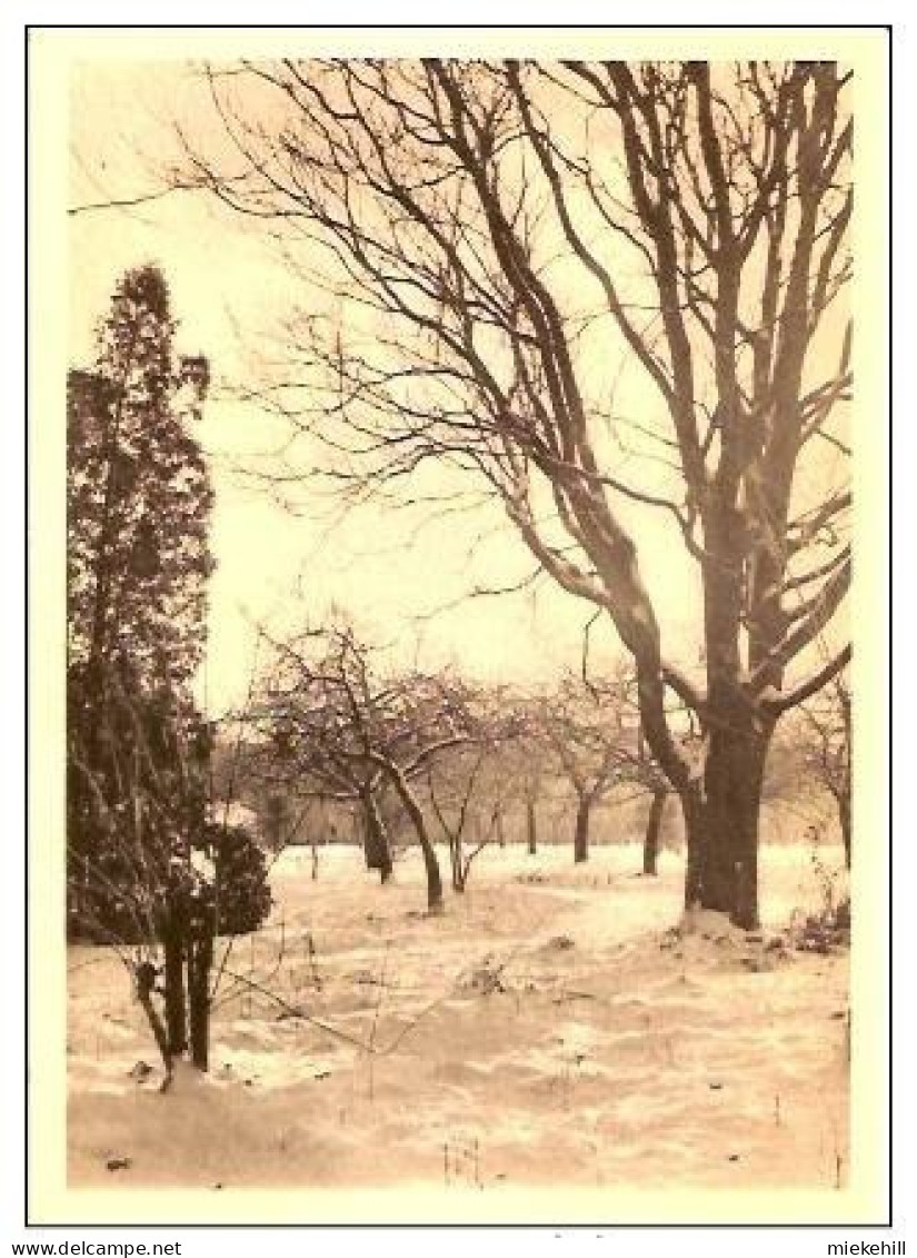 KORTENBERG -ABDIJ-ABBAYE  -Le Verger En Hiver - Kortenberg