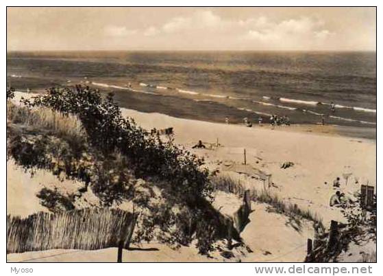 Ostseebad Dranske (Rugen) Strand In Bakenberg Foto Bild Und Helmat (Darr) DDR 0,25M - Ruegen