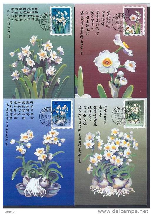 CHINE T147 - MC Flore: Narcisses - Cartes-maximum