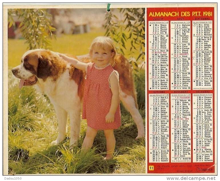 Calendriers Des PTT 1981 RHONE - Grossformat : 1981-90