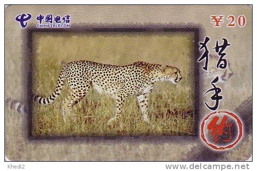 Télécarte CHINE - ANIMAL - Félin - GUEPARD - Feline CHEETAH CHINA TIETONG Phonecard - GEPARD - 174 - China