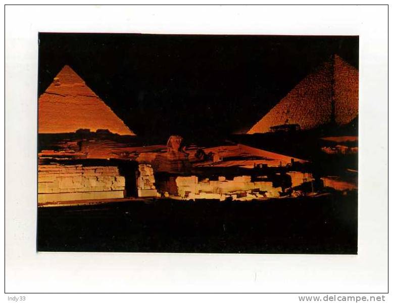 - EGYPTE GIZEH  . SON ET LUMIERE PRES DES PYRAMIDES - Gizeh