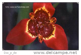 Turkey - TR-C37 - Çiçek 18 - EXPIRES DATE:  EKIM 2006  - Flower - Blume - Turchia