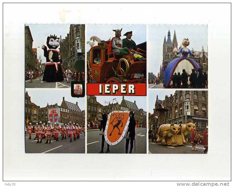 - BELGIQUE . FLANDRE OCCIDENTALE . LEPER . CORTEGE DES CHATS - Carnaval