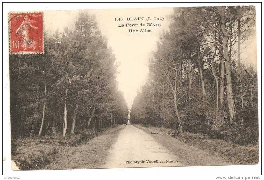 44 -  BLAIN  -  La Forêt Du Gâvre   -  Les  Chercheurs De Champignons Ont Laissé Leur Vélo - Blain