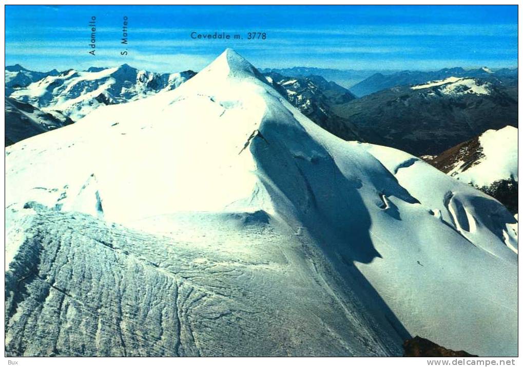 GRUPPO ORTLES - MONTE   CEVEDALE  ALPINISMO  NON VIAGGIATA COME DA FOTO PICCOLA SPELLATURA RETRO - Alpinisme