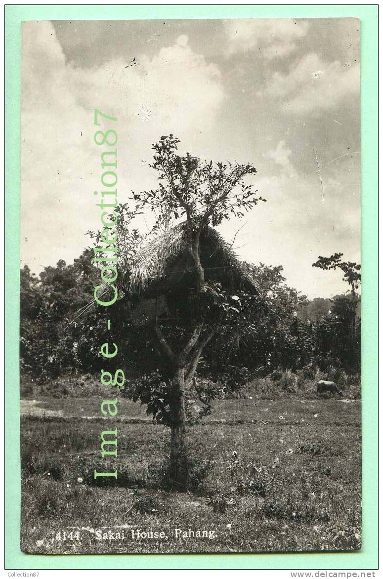 ASIE - MALAYSIA - MALAISIE - PAHANG - SAKAI HOUSE - MAISON Dans L'ARBRE - REAL PHOTO POSTCARD - Malaysia