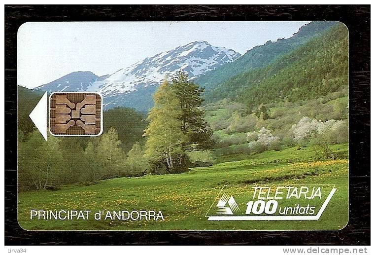 TÉLÉCARTE D 'ANDORRE  100 UNITÉS-  N° 13A  - UTILISÉE - BON ÉTAT GÉNÉRAL- - Andorra