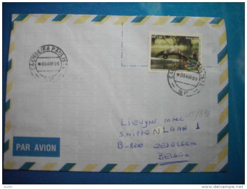 15/296   LETTRE   BRAZIL - Rongeurs