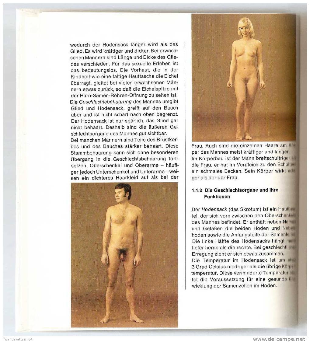 Junge, Madchen, Mann Und Frau Für 12 - 16 Jährige Aus Dem Gütersloher Verlagshaus Gerd Mohn 3. Auflage 1976 - Knowledge