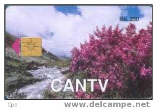 # VENEZUELA 8 Arbol Rojo (Primera Edicion) 250 Gem  -fleurs,flowers- Tres Bon Etat - Venezuela