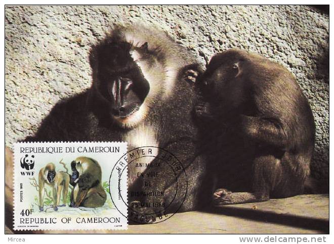 4057  - Cameroun 1988 - Cartes-maximum