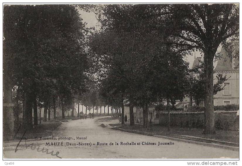 MAUZE - Route De La ROCHELLE Et CHATEAU JOUSSELIN - Mauze Sur Le Mignon