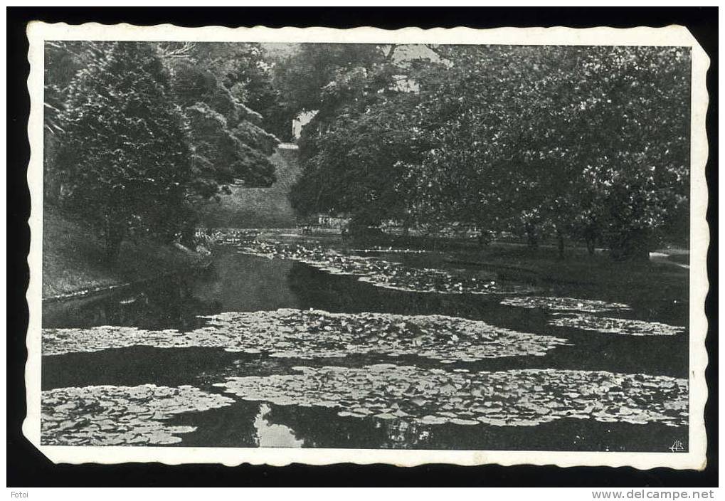 OLD PHOTO POSTCARD PARQUE TERRA NOSTRA AZORES CARTE POSTALE - Açores