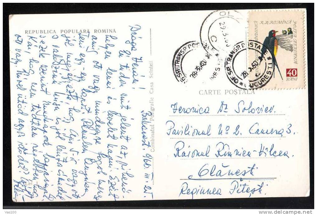 Hirondelle Bird Stamps On Postcard 1960 Sent To Olanesti. - Hirondelles