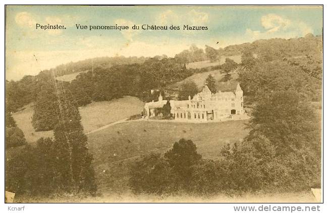 CP De PEPINSTER " Vue Panoramique Du Château Des Mazures " . - Pepinster