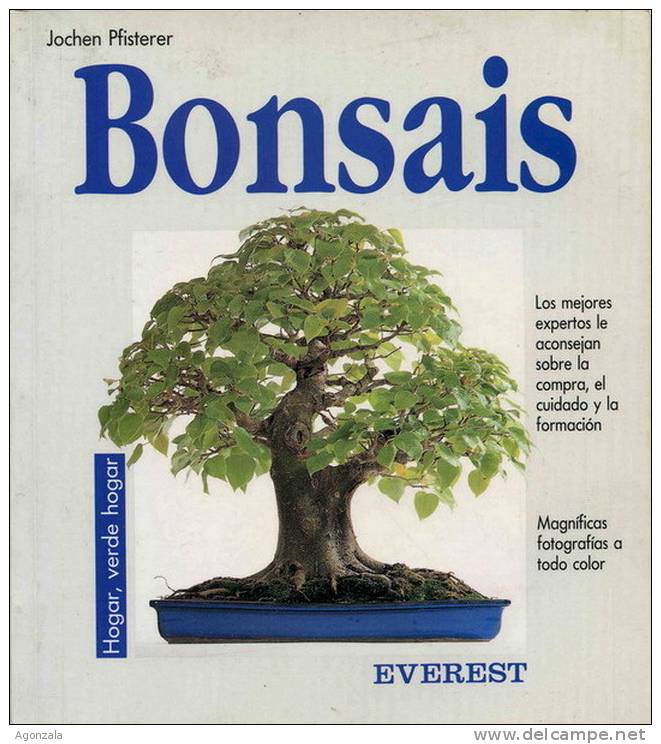 BONSAIS - CONSEJOS DE LOS MEJORES EXPERTOS - JOCHEN PFISTERER - Sonstige & Ohne Zuordnung