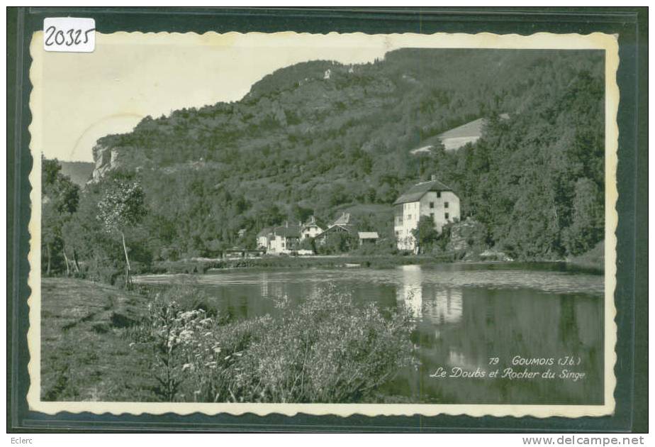 GOUMOIS - LE DOUBS ET ROCHER DU SINGE   - TB - Goumois