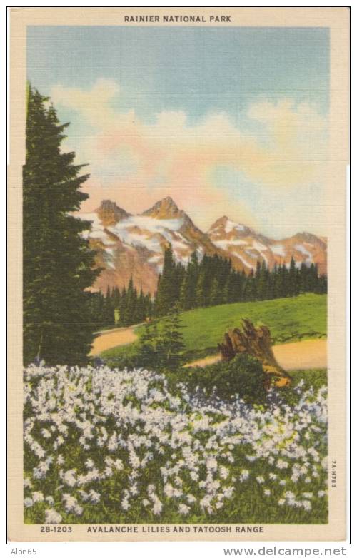 Paradise Inn WA Postmark Pierce County DPO-1 4-bar Cancel Postmark On 1937 Vintage Curteich Linen Mt. Rainier Postcard - Andere & Zonder Classificatie