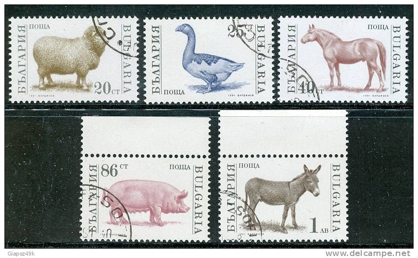 ● BULGARIA  - Rep. Pop. - ANIMALI - 1991  - N. 3391 / 95  Usati , Serie Completa  - 604 - Oblitérés