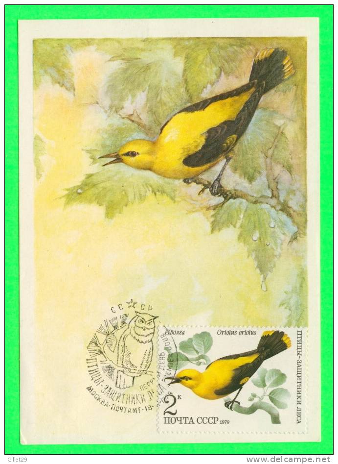 OISEAUX - BIRD - CARTE MAXIMUM RUSSE,1979 - - Maximumkarten