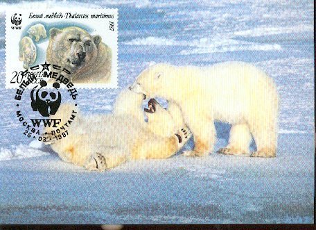 RUSSIE  WWF CARTE MAXIMUM NUM.YVERT 5393  FAUNE MENACEE  OURS BLANC - Maximumkarten