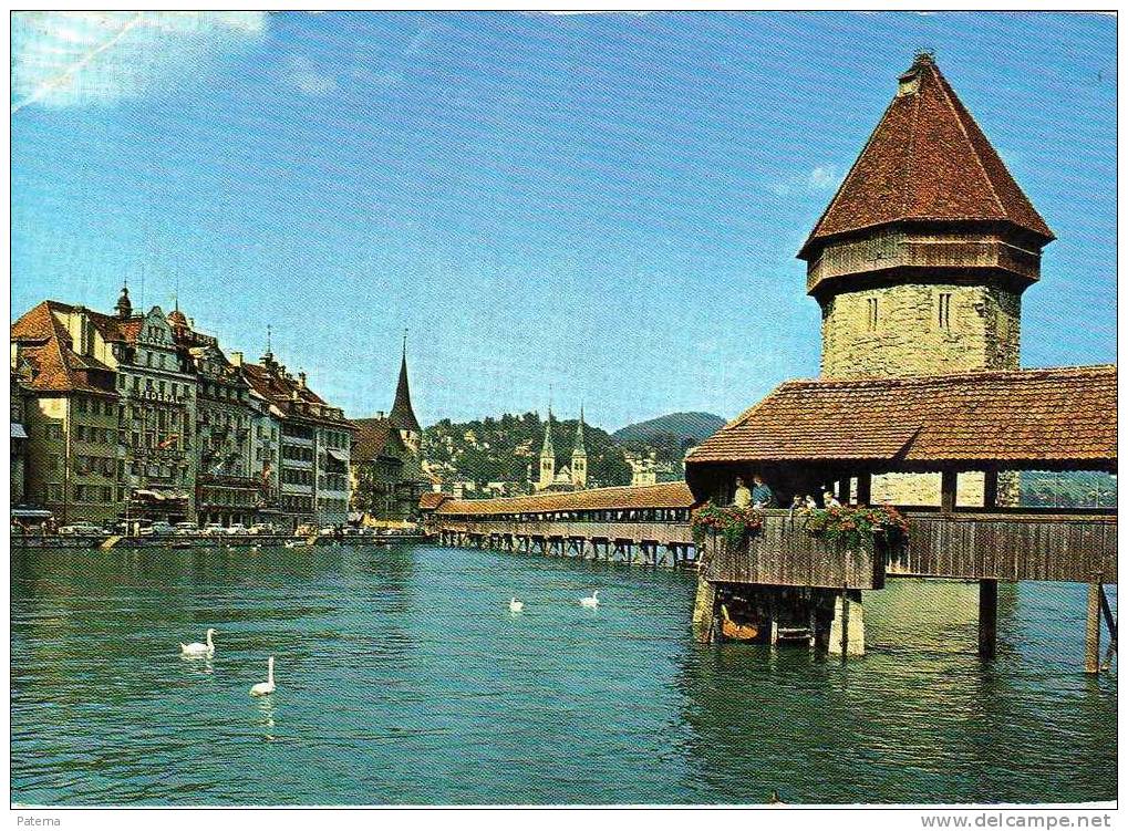 Postal GENEVE, ( Suiza) 1977, Post Card, - Cartas & Documentos