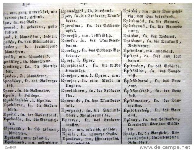 HUNGARIAN - GERMAN DICTIONARY   1838. - Dictionnaires