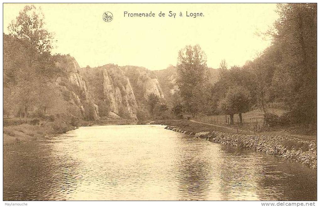 Sy   Logne - Ferrieres