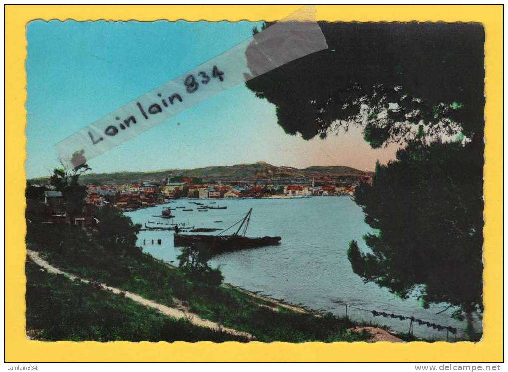 - MARTIGUES - Vue Panoramique - Venise Provençale, Non écrite, Bords Ondulés. - Martigues