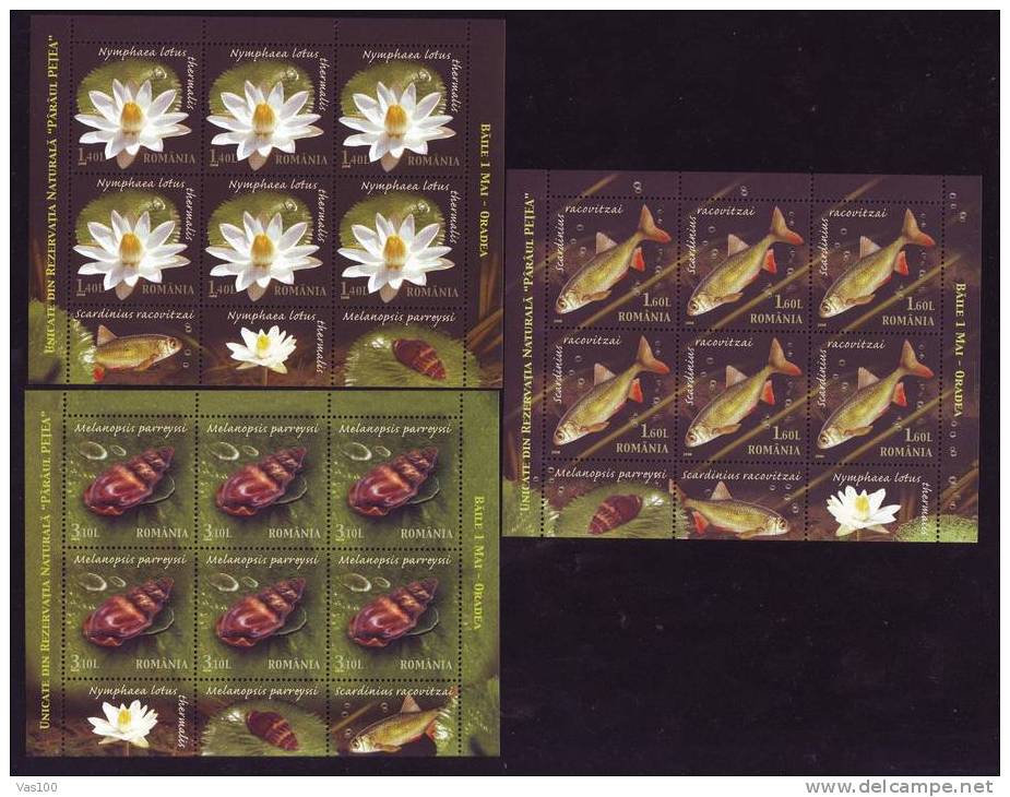 Fish Thermal Water Lily Snail Mollusk MNH STAMPS WITH TABS 2008 Romania - Ungebraucht