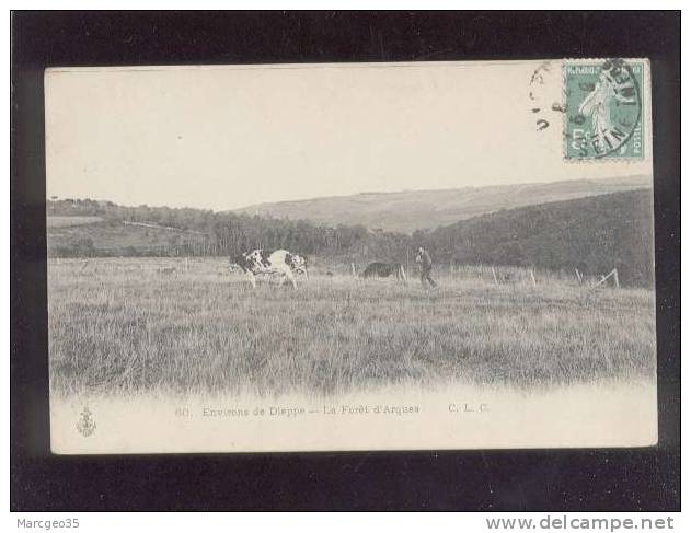 Environs De Dieppe La Forêt D'arques édit.C.L.C. N° 60 Vaches  Belle Carte - Arques-la-Bataille