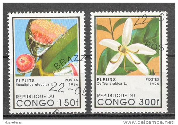 Congo Brazzaville 1996 Mi. 1469 + 1471 Flowering Plants Blühende Pflanzen - Usados