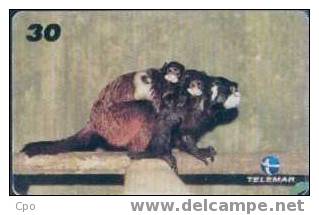 # BRASIL 9910A3 Baby Zoo - Sagui Bigodeiro -animal- 30  10.99 Tres Bon Etat - Brazilië