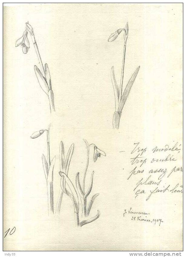 - ETUDE DE FLEURS  . DESSIN  D´ELEVE SIGNE ET DATE 1907 - Drawings