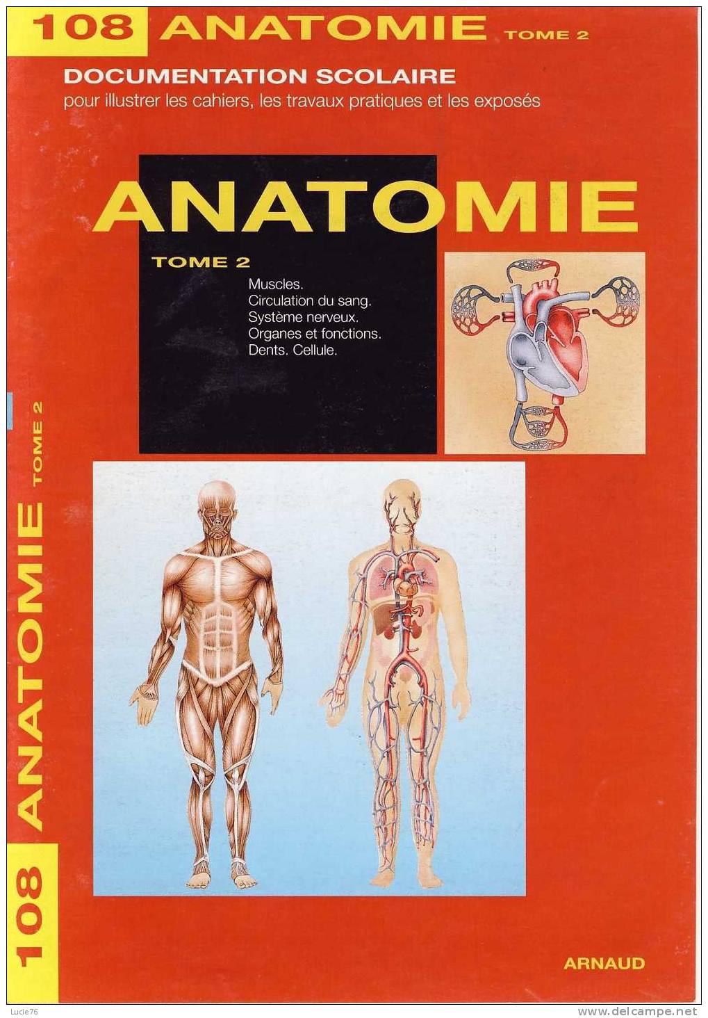 Documentation Scolaire -   ANATOMIE  II -  N° 108   . - Encyclopedieën