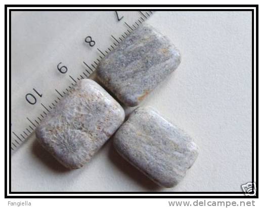 1 Perle En Véritable Corail Fossile Env.20x15x6mm - Perlen